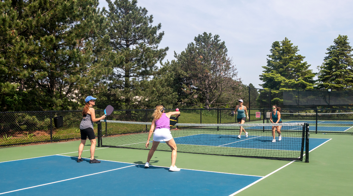 Dinking Mastering the Art of Dinking in Pickleball: A Comprehensive Guide ...